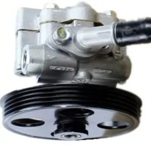 9048894 9033005高品质液压件动力转向泵的Chevrolet为EPICA