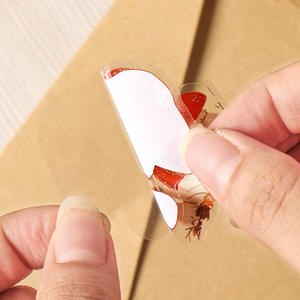 40 pegatinas por paquete Dreams <span class=keywords><strong>Among</strong></span> Flowers Series Manual botánico y floral Material de pegatina impermeable - Product Image 4