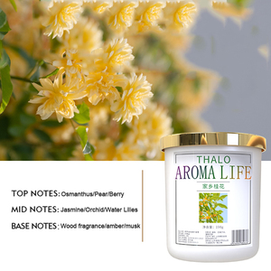 Maison aromatique simple et durable, salle de bain intérieure, élimination des odeurs, désodorisant solide d'aromathérapie sans feu - Product Image 5