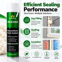 Scellant en mousse de polyuréthane anti-âge à expansion rapide haute performance A31 750ML pour l'étanchéité des joints de portes et fenêtres