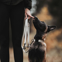 Collier pour chien en sangle enduite de PVC imperméable avec boucle ardillon et œillets métalliques, réglable, durable et facile à nettoyer pour chiens de petite, moyenne et grande taille
