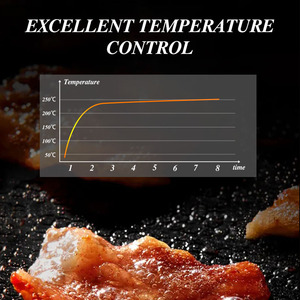 DSP多功能无烟电烤炉家用炉灶多米诺电烤炉烤炉电烤炉不粘220 - Product Image 3