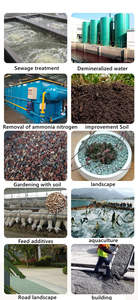 Zeolite Naturale per Terreno da Serra: Migliora la Regolazione della Temperatura e le Condizioni di Crescita delle Piante in Serra - Product Image 3