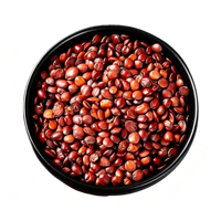 Graines de datte entières séchées naturelles brunes, granulées, qualité alimentaire, emballées sous vide, 1 kg, 18 mois, aliment santé