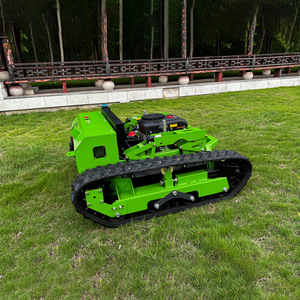 Direktverkauf ab Werk: Ferngesteuerter Rasenmäher, Garten-Raupenmäher, Benzin-Rasenmäher mit CE-Zertifizierung - Product Image 6