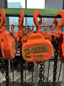 2t Công suất 3m chiều dài lớn một quan trọng mô hình tay hoist Hướng dẫn sử dụng chuỗi khối 2000kg - Product Image 4