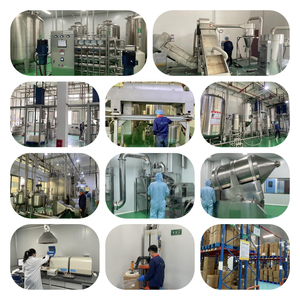 <span class=keywords><strong>Ginkgo</strong></span> <span class=keywords><strong>Biloba</strong></span> Chiết Xuất 24% Gingko Flavonoids 6% Lactone 1ppm Axit Ginkgolic - Product Image 6