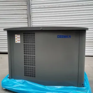 25KVA 20KW 15KW 10KW Dual Fuel portatile silenzioso con ruote gpl Gaoline NG generatori turbina a Gas naturale