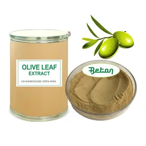 Beton fornitura di estratto di foglia di olivo 10% 20% 25% 80% oleuropeina idrossitirosolo acido maslinico acido elenolico alla rinfusa