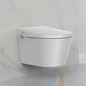 Современное неэлектрическое биде удлиненное двойное насадка для унитаза - Product Image 3