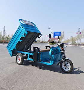 Tricycle électrique à 3 roues de haute qualité pour adultes Cargo Motorhome fabriqué en Chine avec carrosserie ouverte - Product Image 6