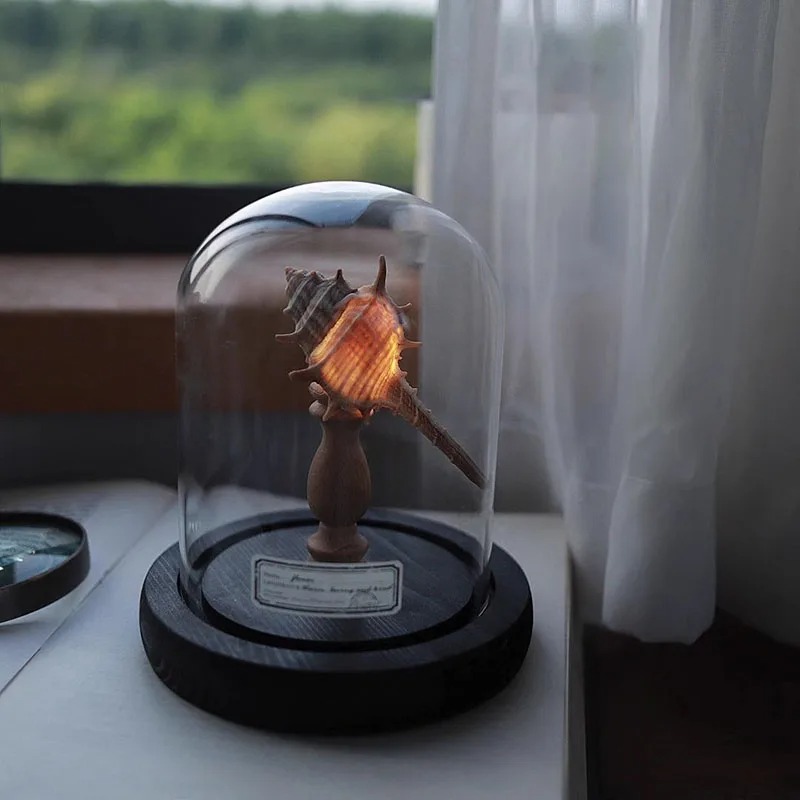 Paquete de materiales D-DIY