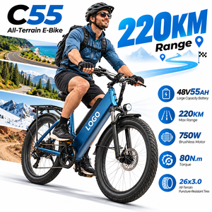 จักรยานไฟฟ้าบรรทุกสินค้า C55 แรงบิด 80 นิวตันเมตร ยางขนาด 26x3.0 ระยะทางไกล รับผลิตแบบ OEM ODM ปรับแต่งได้สำหรับผู้ขับขี่ - Product Image 1