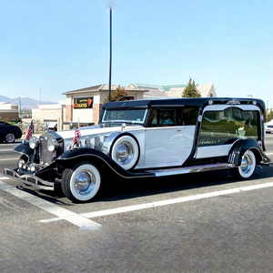 Cercueil de luxe couleur platine, voiture funéraire moderne, transport spécial pour cérémonies funéraires - Product Image 1