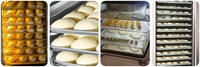 Armoire d'épreuvage de pâte de croissant de fermentation de 18 plateaux pour le pain de pizza
