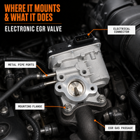 Valve de recirculation des gaz d'échappement (EGR) Wanray pour Navara D40 Pathfinder R51, échappement 14710-EC00A 14710-EC00D