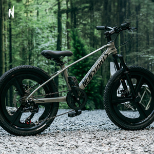 Bicicleta de Montaña para Niños Newstarts de 20 Pulgadas con Horquilla de Suspensión, Multivelocidad, Unisex - Product Image 1