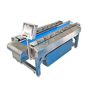 Balance combinée multi-têtes 16 pour pesage par lots de filets de poisson congelés (saumon, pangasius) – Balance combinée pour la mesure du poids - Product Image 6