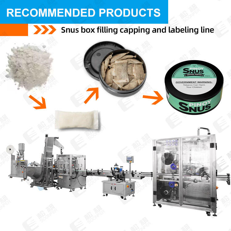 Small Sachet Pouch Drying Agent Snus Packaging Machine Automatic Filter ...
