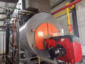 <span class=keywords><strong>Prix</strong></span> concurrentiel horizontal automatique de basse pression de conception de tube de feu de chaudière à vapeur de 10 tonnes/hr WNS de <span class=keywords><strong>gaz</strong></span> industriel de pétrole - Product Image 5