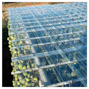 Precio <span class=keywords><strong>de</strong></span> Fábrica, Láminas <span class=keywords><strong>de</strong></span> Policarbonato Transparente Greca <span class=keywords><strong>de</strong></span> 1 mm, 2 mm, 0.8 mm, Láminas Trapezoidales <span class=keywords><strong>de</strong></span> Policarbonato con Bloqueo UV, Tejas Onduladas, Láminas Corrugadas para Techos - Product Image 4