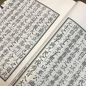 Qingyan Facsimile della Dinastia Song, Edizione Stampata a Blocchi, Libro Rilegato con Carta <span class=keywords><strong>Da</strong></span> Xue Zhang Ju Ji Zhu Xuan per Collezionisti - Product Image 4