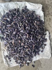 Super Sell 2025 Piedra de amatista en bruto con color púrpura en forma de crudo natural Usos multiusos Piedra de amatista - Product Image 2