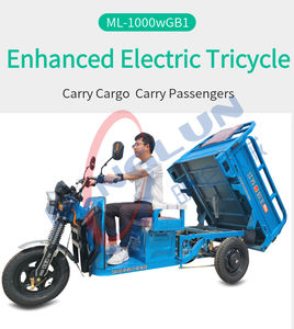 Nuevo Triciclo de Carga con Volquete de Hierro Resistente, Vehículo de Transporte de 3 Ruedas para Construcción, Restaurantes y Comercio Minorista - Product Image 6