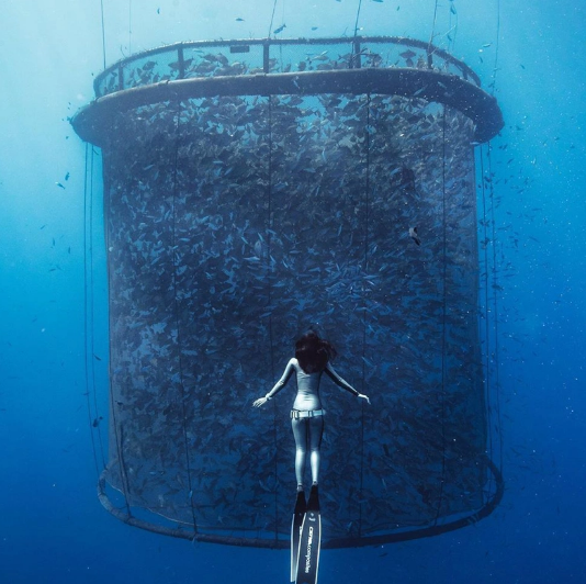 High Quality Blue HDPE High Strength Anti-Wave Cost-Effective Fish Net Cage for Seawater Aquaculture Farming Floating Trap China