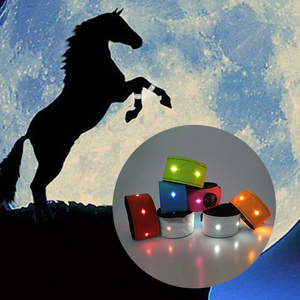 Bande led en nylon pour cheval, accessoires d'équitation, vente en gros, 1 mètre - Product Image 3