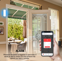 Sensor de Puerta y Ventana Inteligente Tuya, Detector de Seguridad para el Hogar, Sistema de Alarma para Ventanas y Puertas, Compatible con Alexa y Google Home