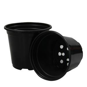 Pots de semis biodégradables fabriqués en Chine pour les plantes de pépinière - Product Image 3