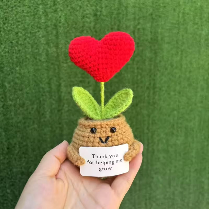 ต้นไม้กระถางรักสีแดง