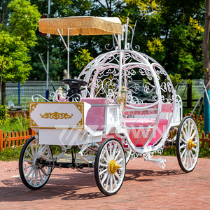 2025 kereta Pernikahan/fesyen produk baru kereta pengangkut khusus/mobil liburan wisata untuk dijual dengan harga khusus - Product Image 6