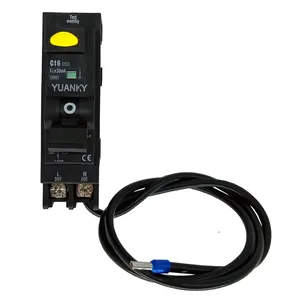 Open Electric 2P Earth Leakage Circtuit Breaker ELCB RCCB RCD RCBO 66A-50A Ac Type Residual Current Device