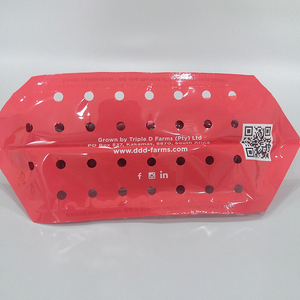 Chất lượng cao tùy chỉnh túi trái cây Nhà cung cấp túi bao bì trái cây với lỗ thông hơi túi dây kéo nhựa cho rau - Product Image 3