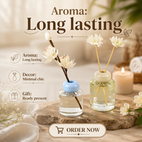 Diffuseur de parfum liquide écologique pour la maison et la voiture, motif personnalisé, 100 ml, avec emballage personnalisé