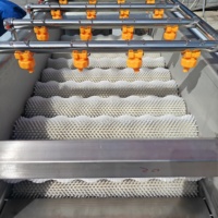 Machine de nettoyage multifonctionnelle à rouleaux parallèles pour légumes et canne à sucre, pulvérisation haute pression, machine à laver les fruits