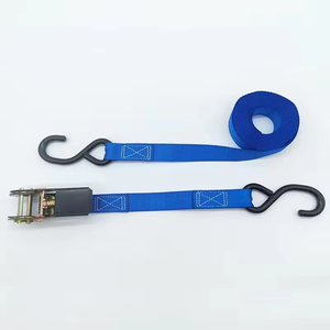 OEM 래칫 스트랩 25mm 800kg 6M 5MCustom 로고 타이 다운 스트랩 - Product Image 2