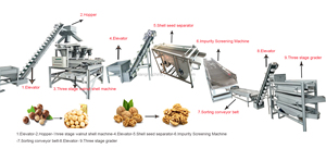 Automatic Walnut Pistachios Kernel Wheat Washing and Peeling <b>Machine</b> with Gearbox and Engine 1.5kW 380V - Product Image 5