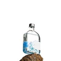 Bouteille d'arôme en verre élégante, anti-fuite, diffuseur décoratif pour huiles essentielles DIY