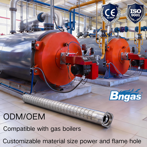 Brûleurs à gaz en acier inoxydable avec diamètres et longueurs de tuyaux personnalisables en GPL ou GN, certification CE pour chaudière à gaz - Product Image 1