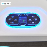 Promotion : Spa froid autoportant à double zone chaud/froid avec système de filtration et éclairage LED