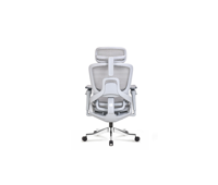 Chaise de bureau exécutive ergonomique haut de gamme en maille avec support lombaire, base chromée et fonctions réglables pour le bureau à domicile