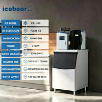 Nouvelle Offre Spéciale 300kg/24h Flocon de neige Flack Machine à glace Smart Commercial et usine Machine à glaçons