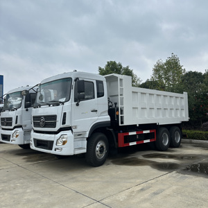 Nuevo Camión Ligero Diésel para Minería 6x4, Volquete de <span class=keywords><strong>20</strong></span> Toneladas, Volante a la Izquierda, Euro 3, <span class=keywords><strong>150</strong></span>-250HP, Transmisión Manual de 8 Velocidades, Aire Acondicionado, Cámara Trasera para - Product Image 3