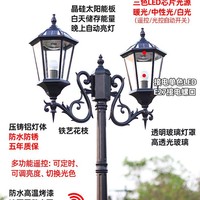 Lampadaire solaire extérieur en aluminium à mât haut de 2M/3M pour éclairage de chemin et aménagement paysager de villa