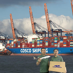 Goedkoopste DDP zeevracht expediteur transport LCL FCL vracht Qingdao expediteur China naar Japan FBA container Jemen - Product Image 1