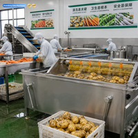 Laveuse automatique à rouleaux pour pommes de terre, carottes, gingembre et légumes racineux pour usine de transformation alimentaire