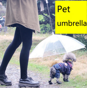 <span class=keywords><strong>Pas</strong></span> <span class=keywords><strong>cher</strong></span> Chien Transparent Pet Clair <span class=keywords><strong>Parapluie</strong></span> Avec Chaîne - Product Image 3